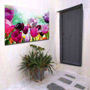 Quadro de exterior - Tulipa